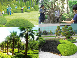 Công ty TNHH DVTM Công Nghệ Môi Trường