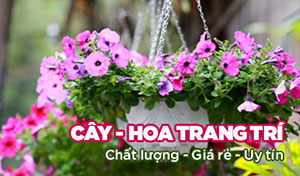 Công ty TNHH DVTM Công Nghệ Môi Trường