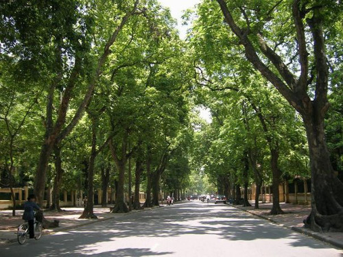 Công ty TNHH DVTM Công Nghệ Môi Trường
