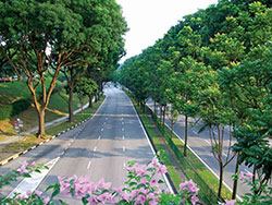 Công ty TNHH DVTM Công Nghệ Môi Trường