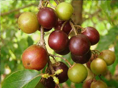 Công ty TNHH DVTM Công Nghệ Môi Trường
