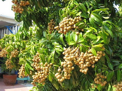 Công ty TNHH DVTM Công Nghệ Môi Trường