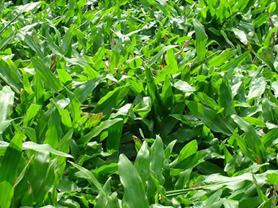 Công ty TNHH DVTM Công Nghệ Môi Trường